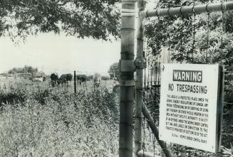 Cows graze near nuclear dump at Port Hope, Eventually Canada will have to move such waste matter - and other nuclear material. Transporting it will po(...)