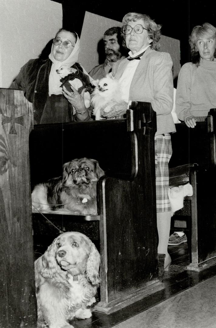 Furry flock receives blessing, Parishioners and pets