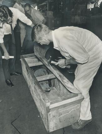 A box of croc. Jim Harrison, an Air Canada employee, gingerly opens a box containing one of two crocodiles that arrived Toronto International Airport (...)