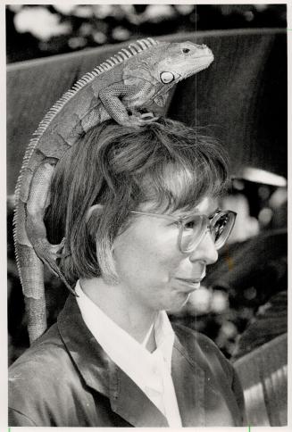 Leapin' lizard of Erindale, Keep your head up if you go to Science Expo '88 at the U of T's Erindale Campus