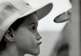 Lounging Lizard gets an audience, Seven-year-old Brenden Hurley meets the gaze of an equally inquisitive Australian skink lizard in a petting zoo at y(...)