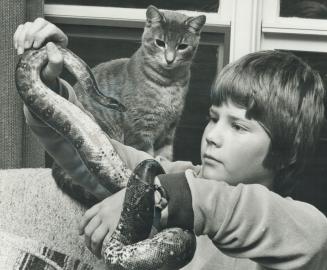 Goodness snake! 10-year-old Zachart Vilpors is attached to his pet boa constrictor, Danger - and another household pet, Stickly, seems to regard him w(...)