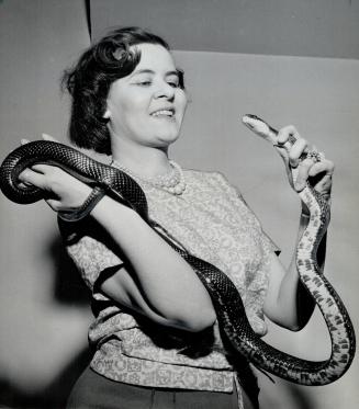Barbara froom with black rat snake, It's Alex Finlay's Pet, she has Pet Garter snakes