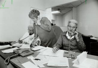 On the phones: Barbara Morrow, Adele Armstrong and Marjorie Nabb field a wave of calls from curious tourists at the Grey Panthers' office in Hamilton yesterday