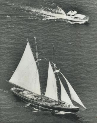 The Bluenose II Sails In, Steering by the CN Tower, the Bluenose II sails for Toronto today on its way to Harborfront, where it will be on view throug(...)