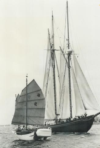 Sailing into Toronto, the Bluenose II passes a junk in Lake Ontario yesterday