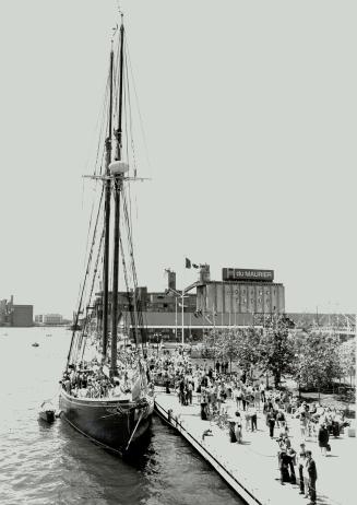 Schooner mobbed