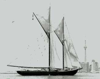 Sailing through history