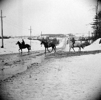 Horseback riders, Finch East from Page St