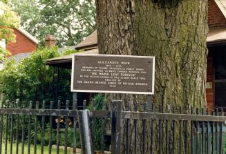 Image shows a plaque for Alexander Muir in front of the tree and above the fence.