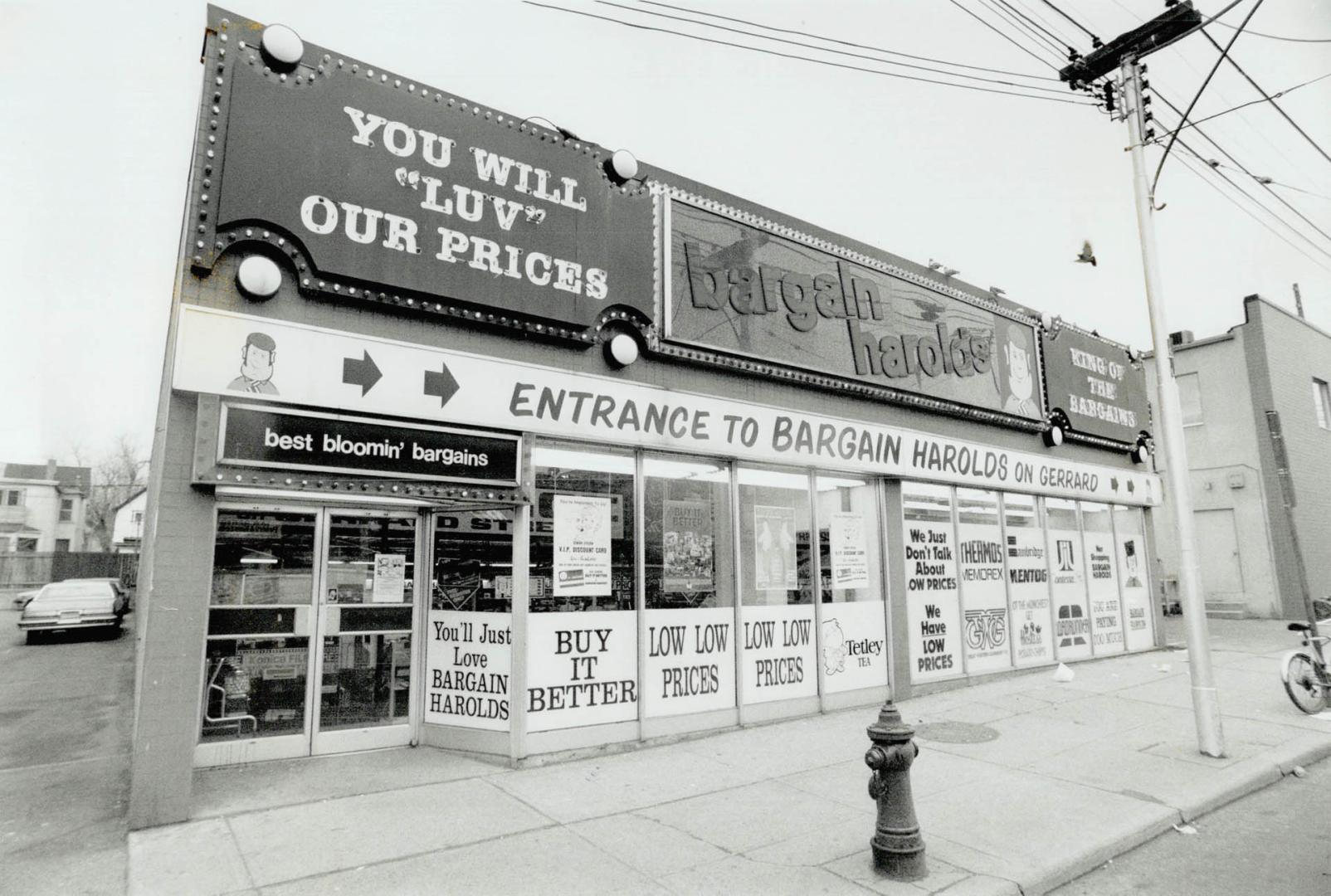 Bargain Harold's will continue to operate despite entering receivership yesterday