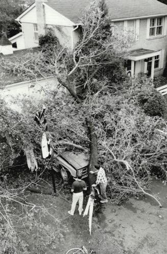 Twister in Mississauga? Wayne McAlpine (right) inspects his damaged van which was hit by a falling tree on Ingersoil Court in Mississauga. Police beli(...)