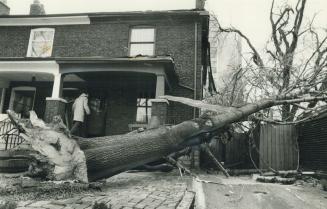 Howling winds leave their mark, Vicious winds gusting up to 100 kilometres (60 m
