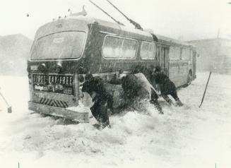 All together now! Passengers push a stalled TTC trolley bus out of a snowdrift at Bay and Harbor Sts