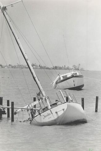 Path of destructions: A light plane (top) is bowled over at Jamaica's Kingston Airport, sailboats are swamped and grounded at Montego Bay, and vacation cabins at Runaway Bay are ripped apart