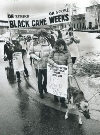 Blind workers on strike, A guide dog leads employees of the Canadian National Institute for the Blind and supporters in a picket at the organization's(...)