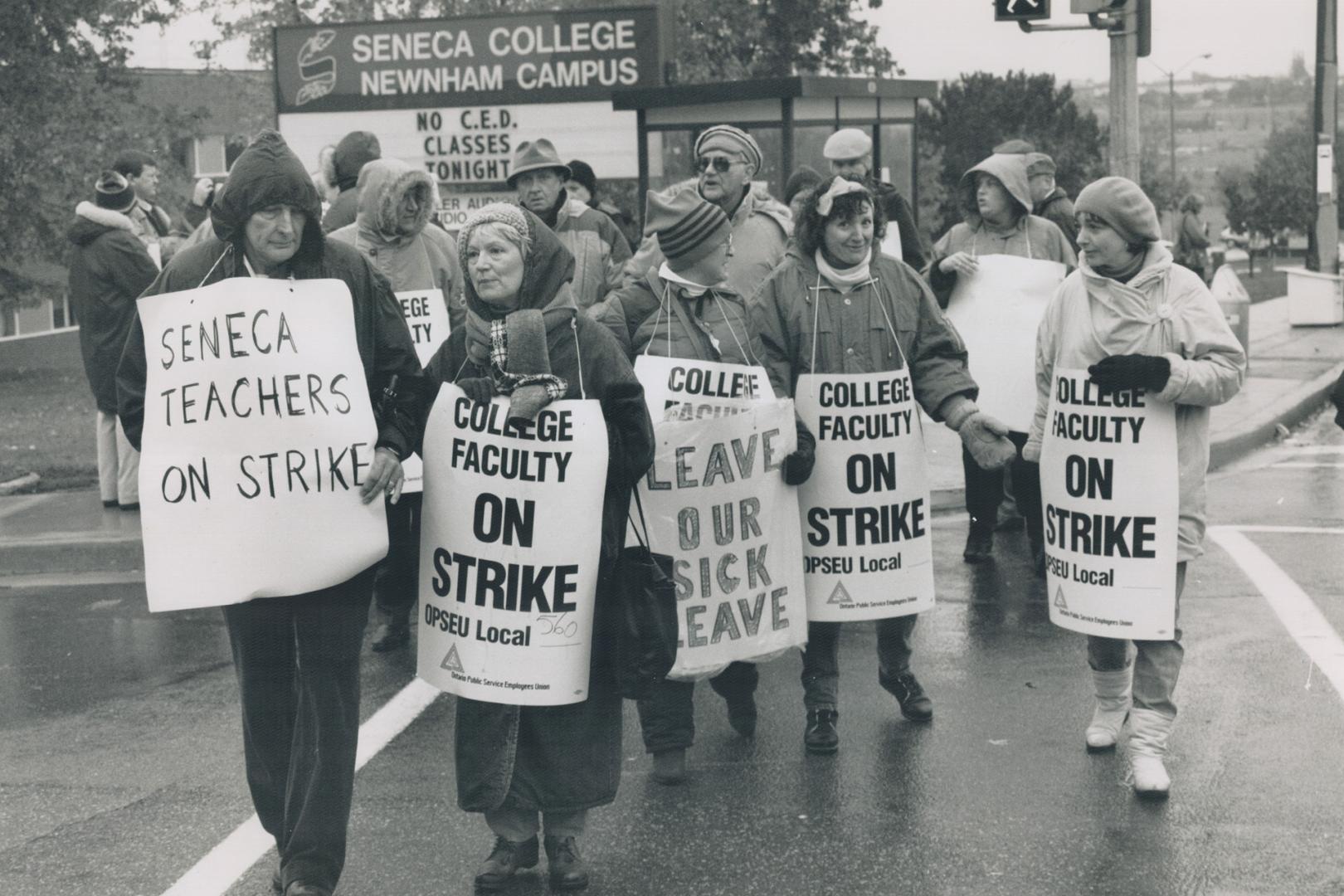 Seneca pickets