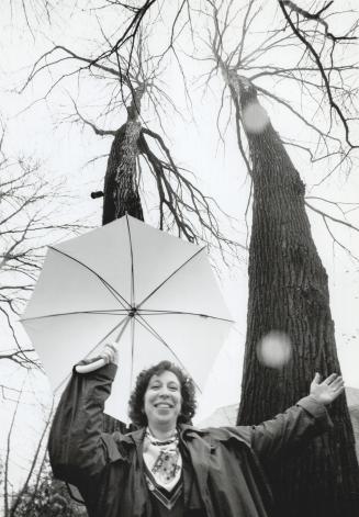 Look way up: Judy Schwartz's North York property boasts this 117-foot (about 36-metre) tall basswood, the tallest of the tall in the tallest tree caterogy of the great North York Tree Hunt