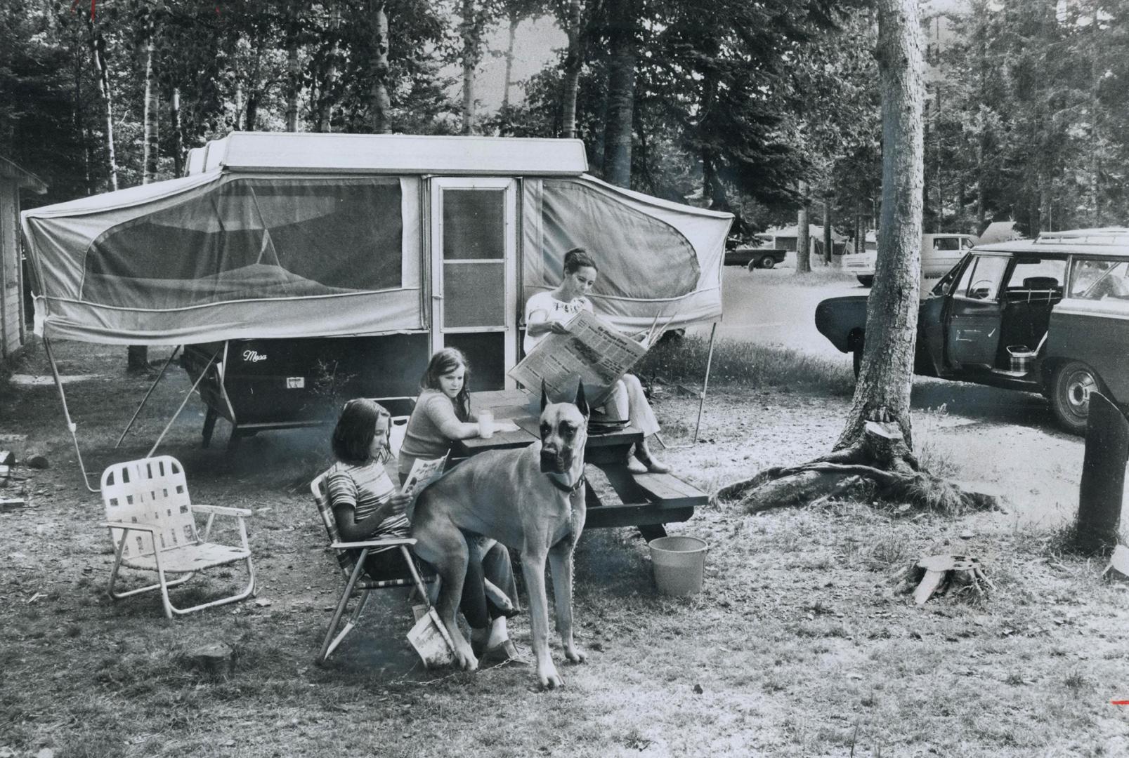 Camping in the Maritimes is a pleasant, and a popular, way to pass a vacation, whether or not you bring your lap dog along, as this family discovers i(...)