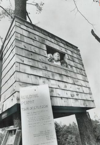 Housing Hits a new high, The sturdy tree house that Bob Bryan and his children - (from the left) Jack, 8, Bonnie, 7, and Adam, 6-Ave been building out(...)