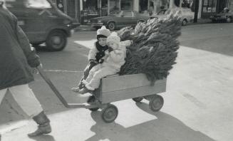 On the way: For 3 1/2-year-old Caleb (left) and 1 1/2-year-old Cody Cooper, picking up the Christmas tree is the first important step toward Christmas morning