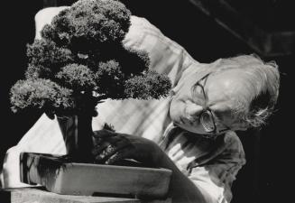 Going Bonsai: Reiner Goebel, a member of the Toronto Bonsai Society, chooses hardy native varieties to turn into charming miniature bonsai, or trees planted in pots