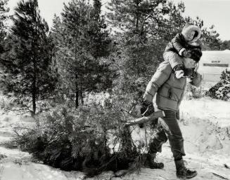 A day's outing can be lots of fun if family members go out to cut down their won Christmas tree