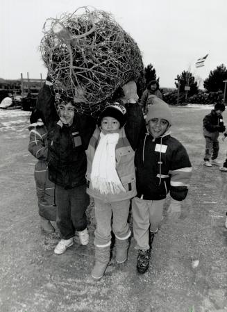 Real christmas tradition: Grade 1 students from Rene Gordon Public School hoist their prize Christmas tree after cutting it at Horton Tree Farm