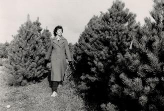 Tree farm: Customer Donna Huddleston at Hockley Valley