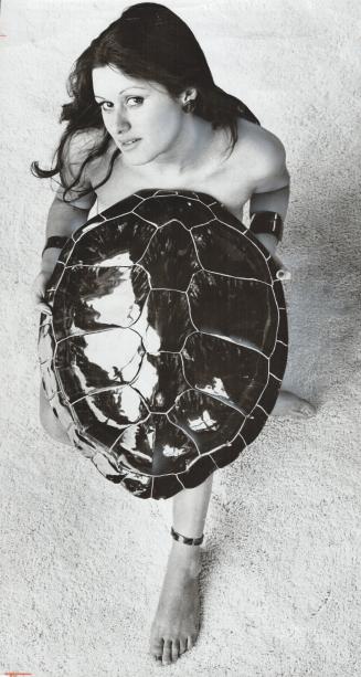 Tortoise shell in chestnut brown, imported from an island in the Caribbean can be used as a wall hanging or lampshade