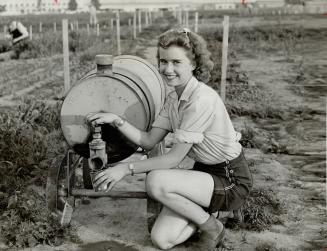 After shift hours from her work at General Engineering, Scarboro, Hilda Reid spends time at her plot in the plant's big allotment