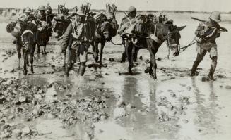 British Indian troops advancing over the desert streams of Bagdad in the garatims in the east