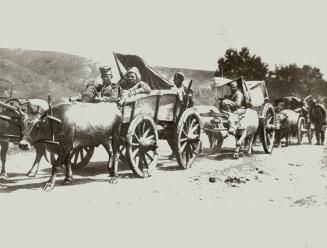 Our Serbian allies with their ox-carts and other simplicities were badly equipped to deal with austrian 26-inch skodas