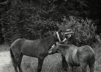 Dueless of Cray with rescued British war horse and american mule at her chatian [Incomplete]
