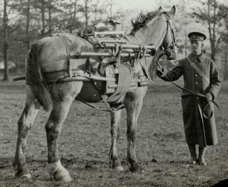 War 1914 - 1918 Canadians