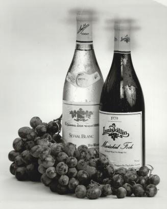 A good bottle of wine is always welcome