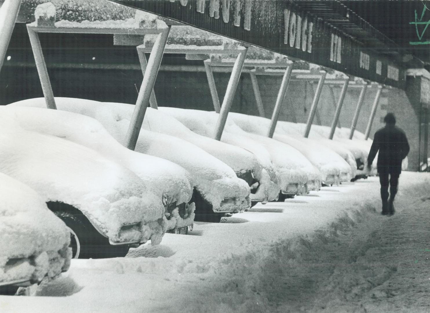 Mantle of snow blanketing these cars on a Yonge St