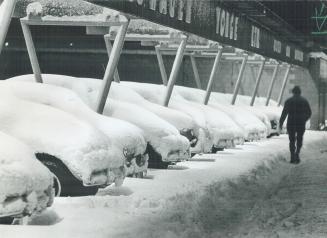 Mantle of snow blanketing these cars on a Yonge St