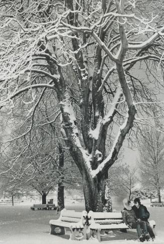 A bench for all seasons, During the summer Metro parks are pockets of activity, but in winter hardly a soul can be seen-except for hardy types such as(...)