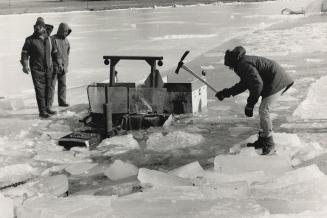 That sinking feeling, An employee of Etobicoke's parks and recreation department hacks away at ice around an ice-cleaning tractor
