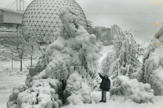 A tree grows in Ice-Land