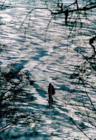 Grenadier pond high park Toronto