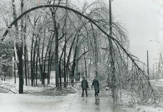 It was Icy yesterday in Mississauga as four inches of snow, ice-coated power lines and tree branches, and flooded intersections created havoc for ever(...)
