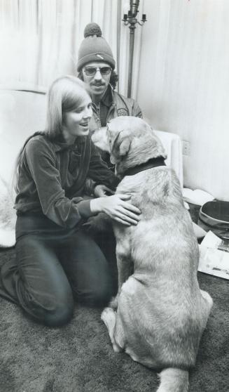 Seeing-eye dog Goldie is reunited with its mistress, Anne Weatherby, while her husband, Roland looks on