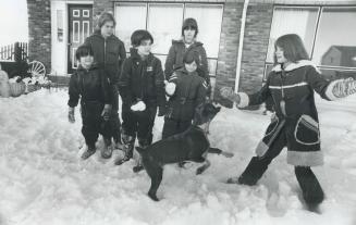 First white Christmas for six new members of the Field family of Oshawa means fun in the snow for these youngsters, who were orphaned in India when th(...)