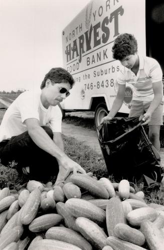 Feeding Metro's hungry. Rev. Phil Ralph, of North York Harvest Food Bank, puts cucumbers in a bag held by Brian Tavares, 12, at Forsythe Farms in Mark(...)