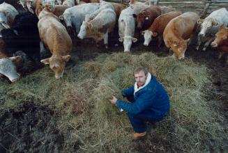 Carl Cosak of Honeywood, Ont., is one of a growing number of beef ranchers who shun the normal pratice of putting antibiotics in animal feed. It's har(...)