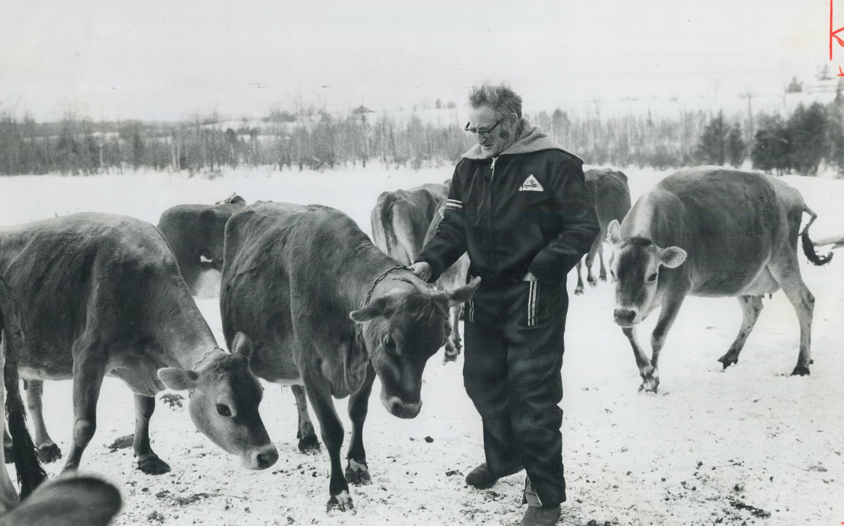 At 67, after farming near Mount Forest for 27 years, Bill Hodges wants to turn his farm over to his son and retire