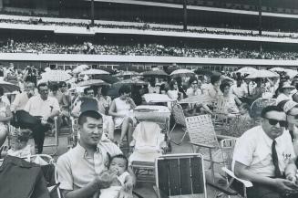 Sitting at the race track at Woodbine, with umbrellas to shield them from the sun, members of the Jehovah's Witnesses attend convention. In left foreg(...)