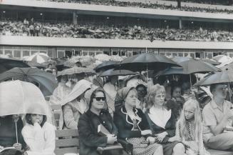 Umbrellas blossom in the stands at Woodbine racetrack yesterday as rain pours down on the Divine Assembly of Jehovah's Witnesses, some of whom came fr(...)